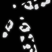 Load image into Gallery viewer, Black leopard-pattern bicycle stickers glowing brightly under light in a dark setting to demonstrate their reflective effect.
